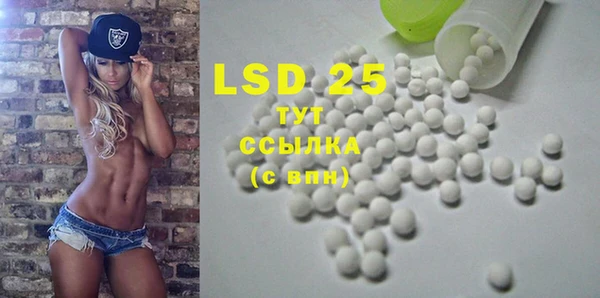 ГАЛЛЮЦИНОГЕННЫЕ ГРИБЫ Богданович