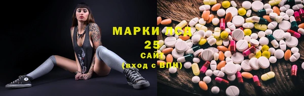ГАЛЛЮЦИНОГЕННЫЕ ГРИБЫ Богданович
