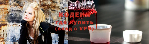 ГАЛЛЮЦИНОГЕННЫЕ ГРИБЫ Богданович