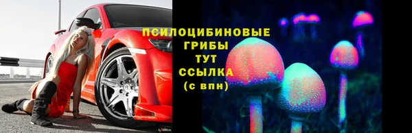 ГАЛЛЮЦИНОГЕННЫЕ ГРИБЫ Богданович