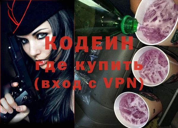 ГАЛЛЮЦИНОГЕННЫЕ ГРИБЫ Богданович