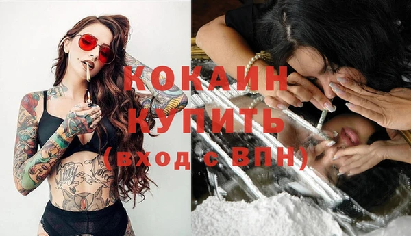 тгк Богородицк