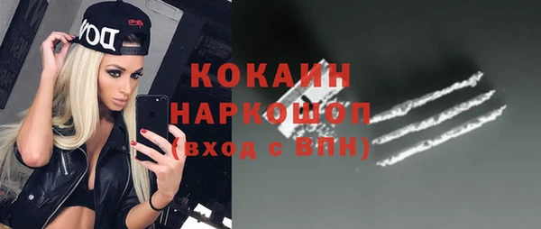 ГАЛЛЮЦИНОГЕННЫЕ ГРИБЫ Богданович