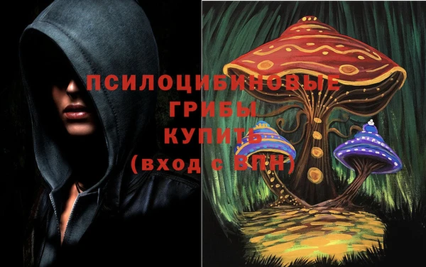 соль ск Богородск