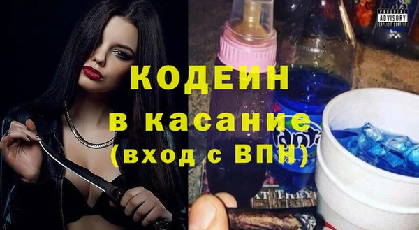 ГАЛЛЮЦИНОГЕННЫЕ ГРИБЫ Богданович