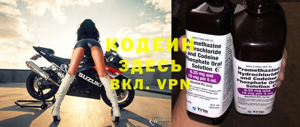 ГАЛЛЮЦИНОГЕННЫЕ ГРИБЫ Богданович