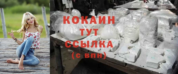 ГАЛЛЮЦИНОГЕННЫЕ ГРИБЫ Богданович